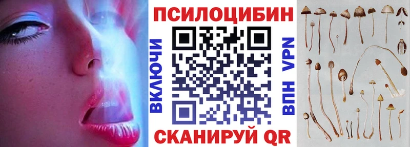 Псилоцибиновые грибы GOLDEN TEACHER  продажа наркотиков  Звенигово 